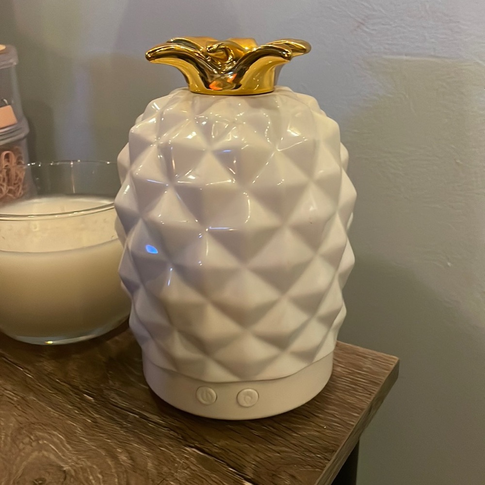 oil Defuser plus Oils